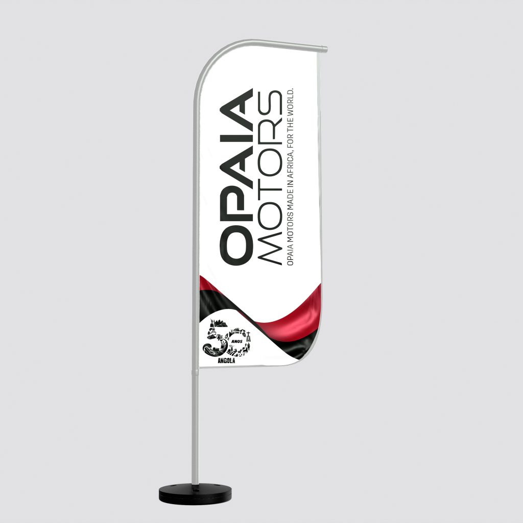 01_Flag